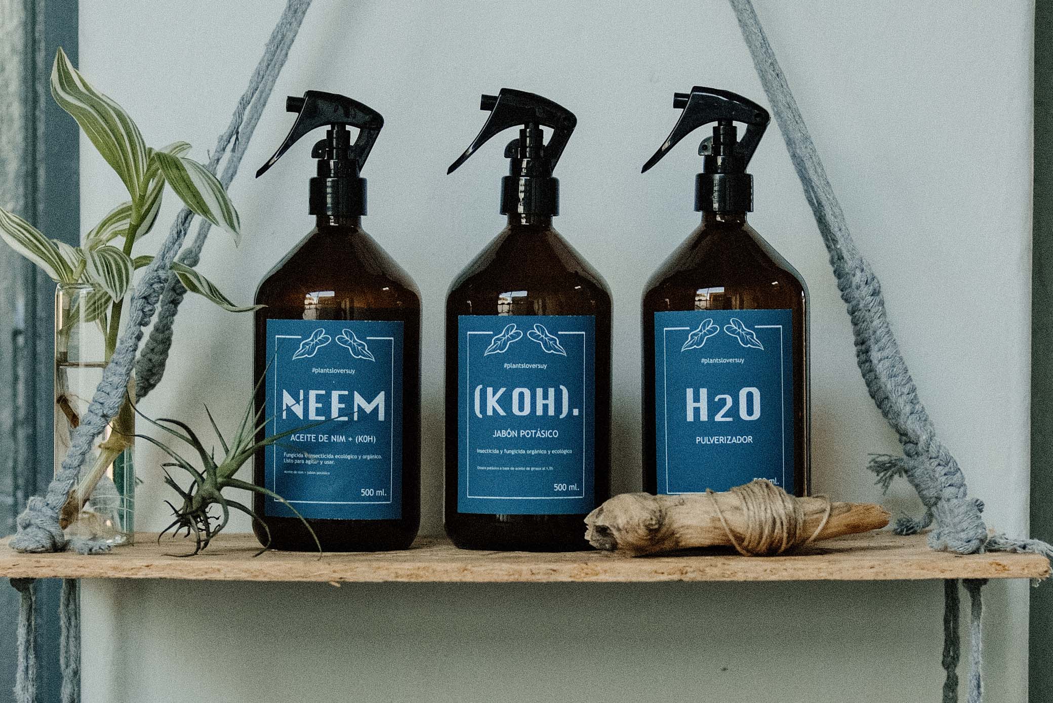 Aceite de neem + jabón potásico como control ecológico contra las plagas